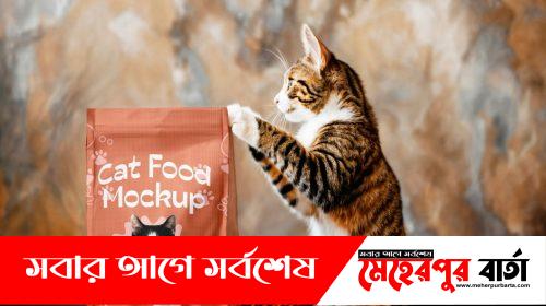pet food for cat
