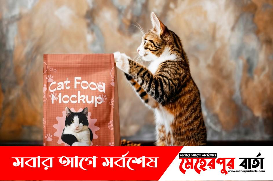 pet food for cat